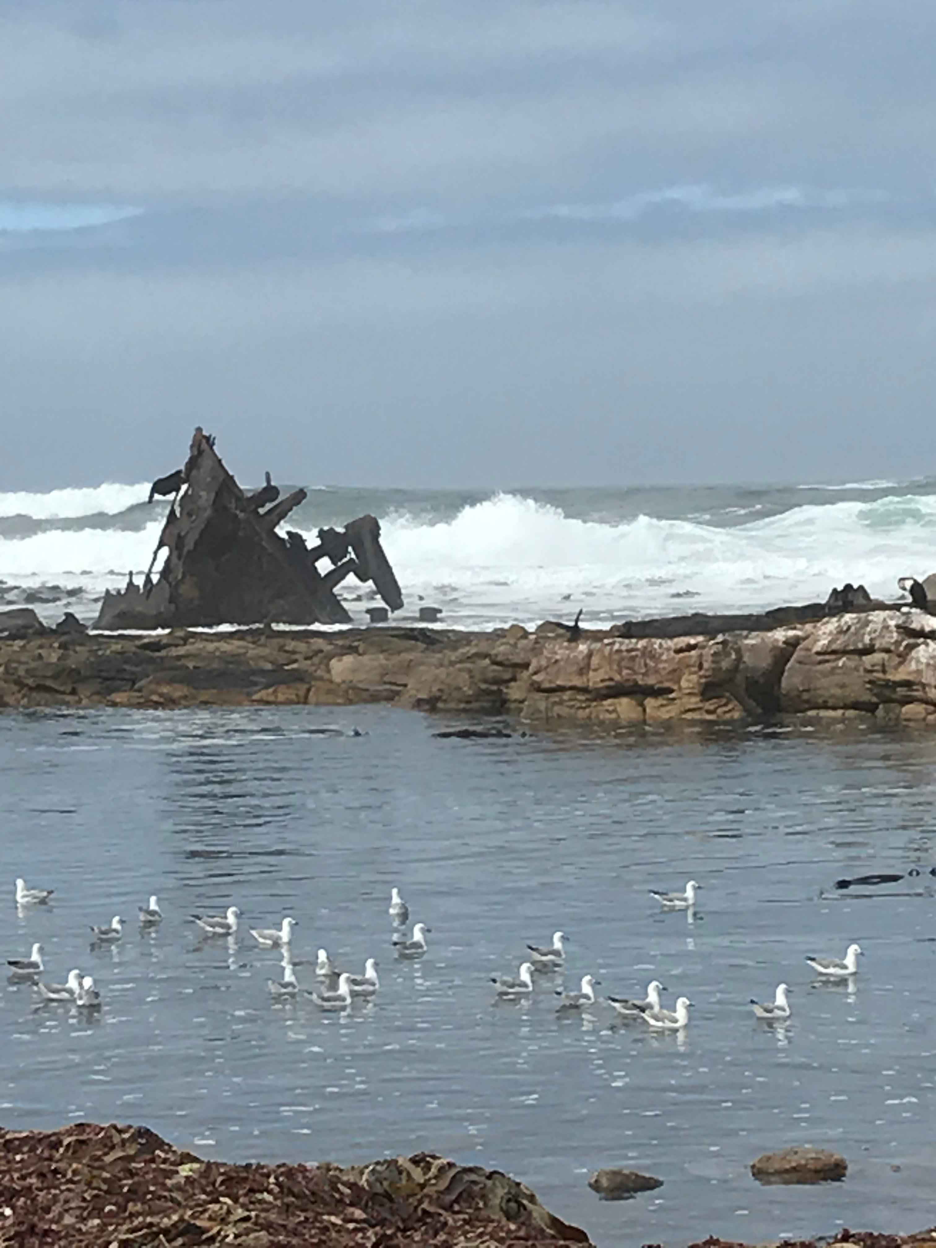 Thomas T Tucker shipwreck - Cape Point